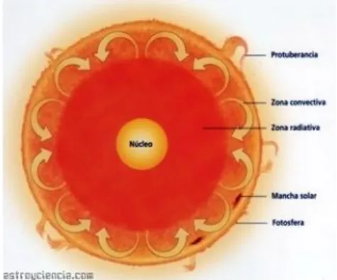 Figura 2. Estructura interior del sol.
