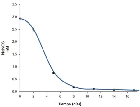 Fig. 9.- Concentración de nitrato a través del tiempo de cultivo de H. pluvialis  