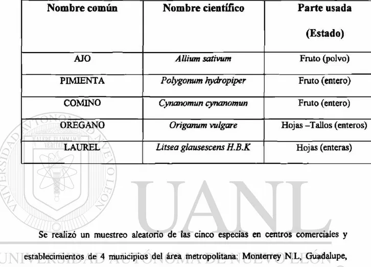 Tabla 1 Especias utilizadas 