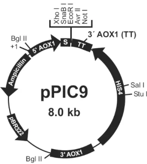 Figura 4. Vector de expresión pPIC9.  Mapa del vector de expresión pPIC9 donde  se  muestran elementos  génicos  c omo el promotor 5’ AOX1, secuencia señal de  S
