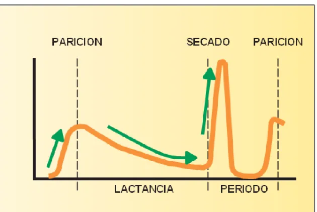 Figura 8: Frecuencia relativa de nuevas infecciones durante la lactancia y durante el período seco