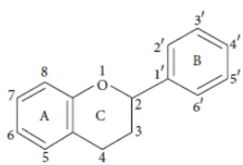 Figura 4 . Estructura básica de un flavonoide (Pandey y Kumar, 2013). 