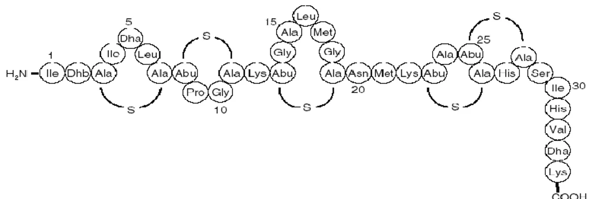 Fig. 9. Representación esquemática de la Nisina. Dhb indica dehidrobutireno,  Dha,dehidroalanina, Ala-S-Ala, lantionina, y Abu-S-Ala, B-metillntonina
