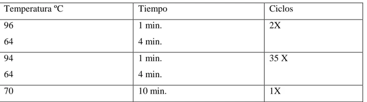 Tabla 5. Condiciones de la reacción de MPCR 