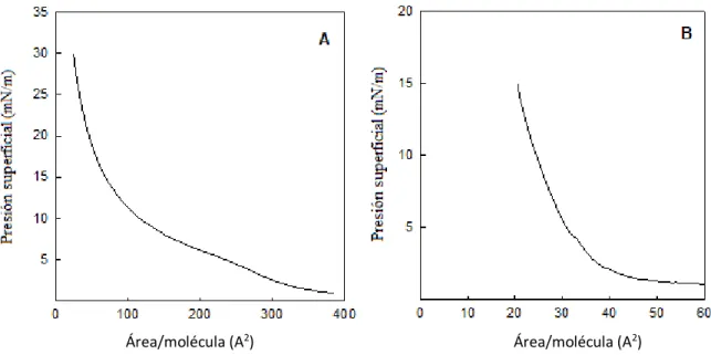Figura 10. Isotermas de presión de monocapas de los péptidos derivados de la alfa-sinucleína P1 (A) y  P3 (B)