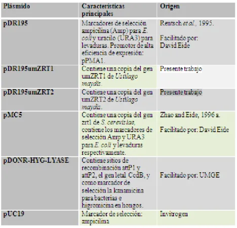 Tabla 2. Plásmidos empleados en el proyecto. 