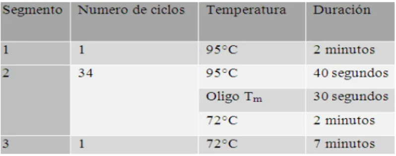 Tabla 4. Programa de PCR implementado tras el uso de enzima Easy-A.  (http://www.chem.agilent.com/library/usermanuals/Public/600400.pdf)
