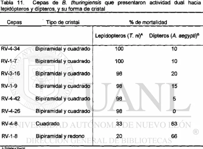 Tabla 11. Cepas de 8. thuríngiensis que presentaron actividad dual hacia  lepidópteros y dípteros, y su forma de cristal 
