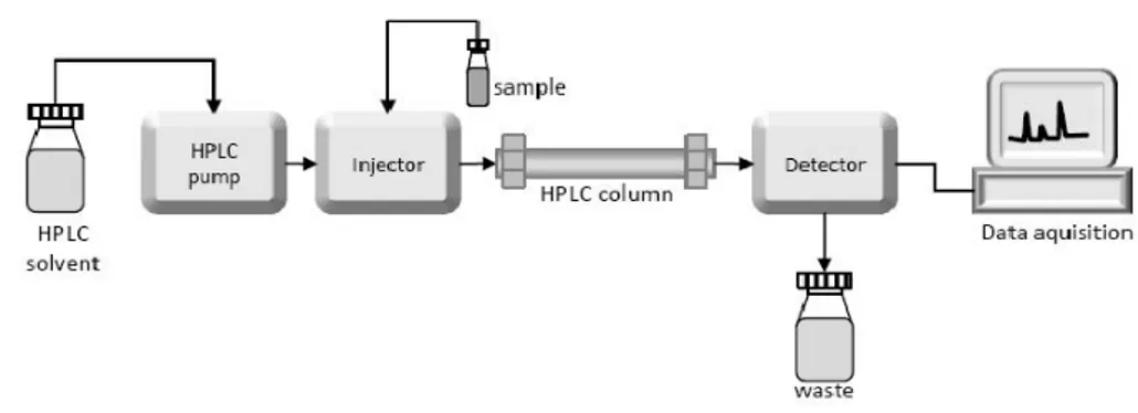 Figure 3. Schematic representation of the experimental set for amino acid analysis.  Differential Scanning Calorimetry (DSC) 
