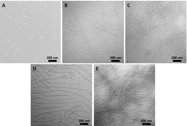 Figure 4. TEM images of the self-assembled nanoparticles formed by (EIS) 2 -(I 5 R) 6  at the  concentration of 25 µM in Milli-Q water (A) and pA(EIS) 2 -(I 5 R) 6  with 12 h (B), 24 h (C), 36 h (D) 