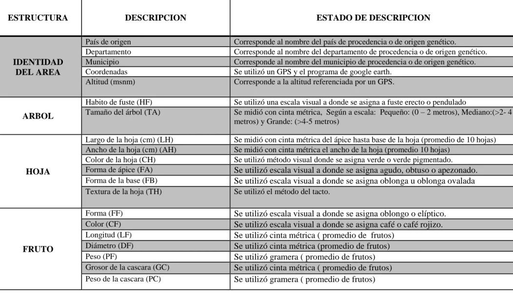 Tabla 5.   DESCRIPTORES ESTANDAR DE VARIABLES 