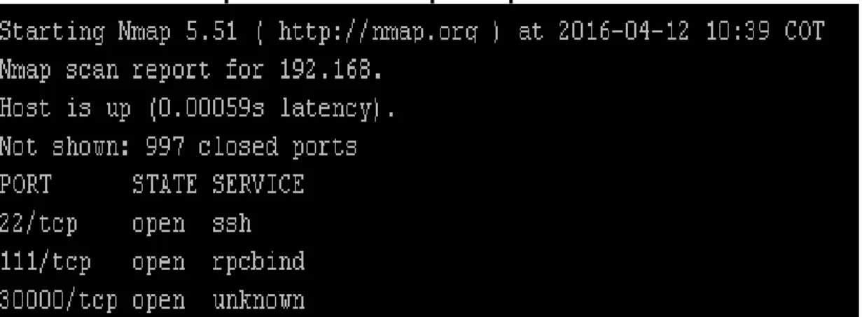 Figura 3. Escaneo de puertos con Nmap 5.51 por consola de comandos 