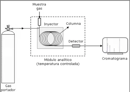 Figura 1.3. Elementos de un cromatógrafo de gases. 