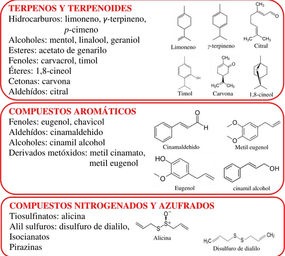 Figura 1.4. Familias diversas de compuestos orgánicos de bajo peso molecular  