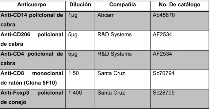 Tabla  4. Listado  de  anticuerpos  empleados  en inmunohistoquímica para  la