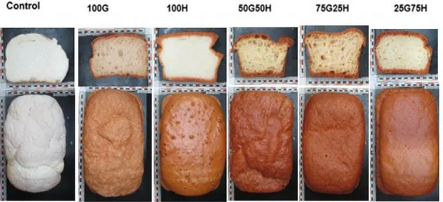 Figura 3. Fotos de los 6 panes elaborados y sus respectivas migas. 