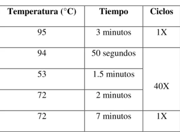 Tabla IV  