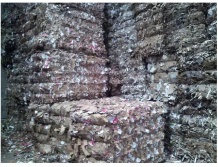 Foto 10. Recorte 