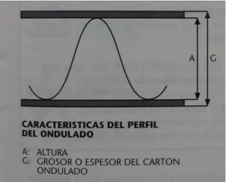 Foto 6. Explicación de una onda 