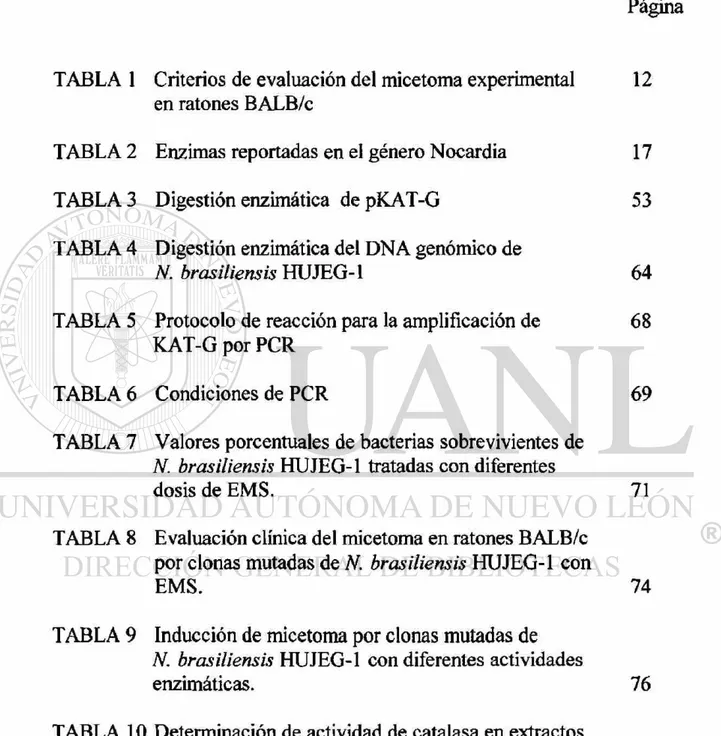 TABLA 1 Criterios de evaluación del micetoma experimental 12  en ratones BALB/c 