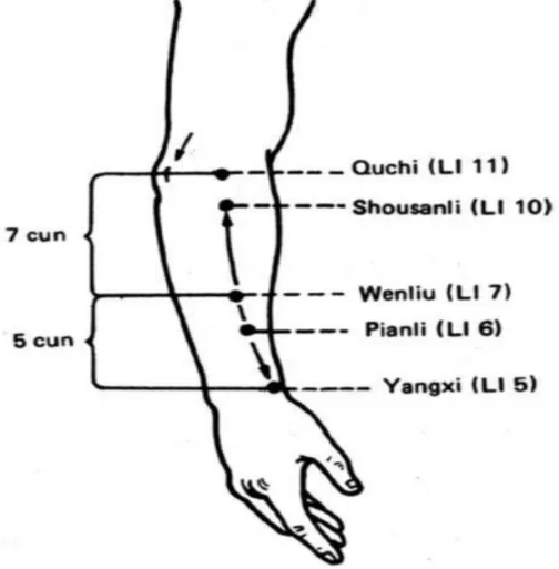 Figura 8. Punto de acupuntura Quchi 
