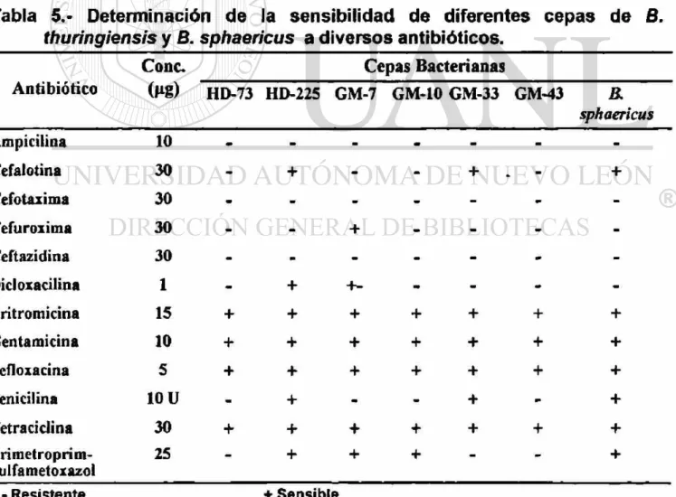 Tabla 5.- Determinación de la sensibilidad de diferentes cepas de B. 