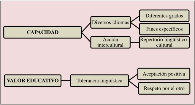 Figura 2.  Concepto de plurilingüismo  