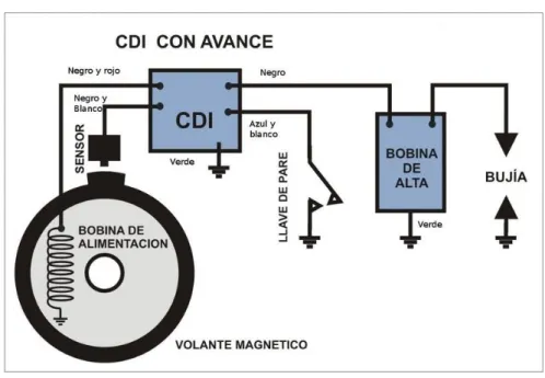 Figura 9.  Estructura interna de un CDI.  