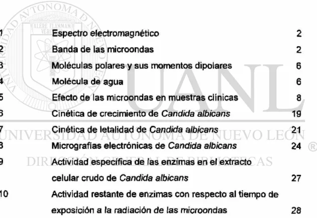 Figura Página 
