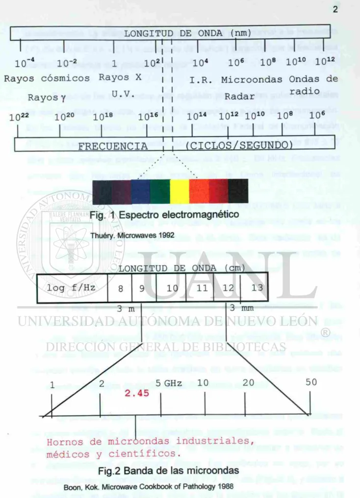 Fig. 1 Espectro electromagnético 