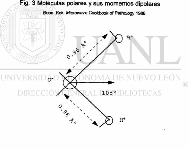Fig. 3 Moléculas polares y sus momentos dipolares  Boon, Kok. Microwave Cookbook of Pathology 1988 