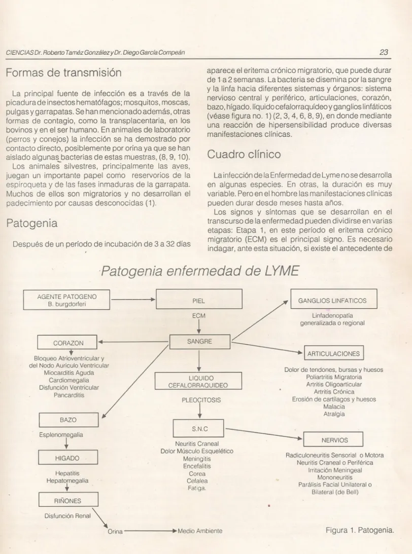Cuadro clínico