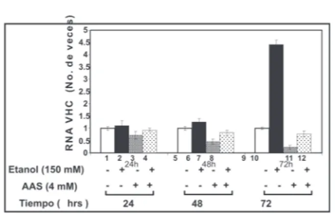 Fig. 7. El AAS bloquea el efecto positivo del etanol en las células Huh7 VHC replicón