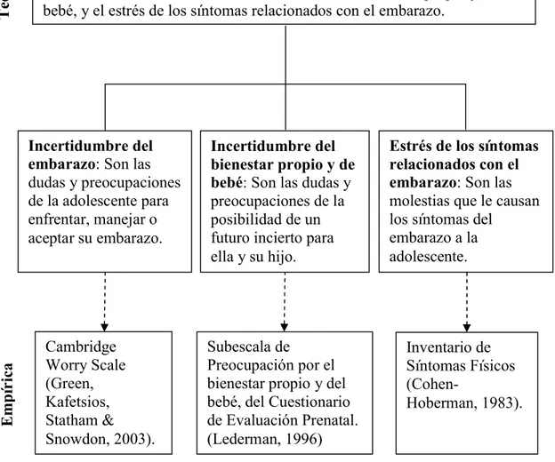 Figura 1. Estructura conceptual-teórica-empírica de los factores de protección de riesgo  relacionados con el embarazo en la adolescencia 