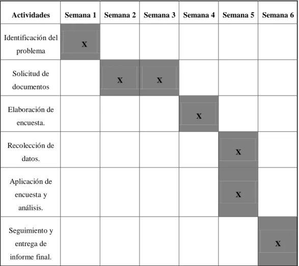 Tabla 2: Plan de Trabajo. 
