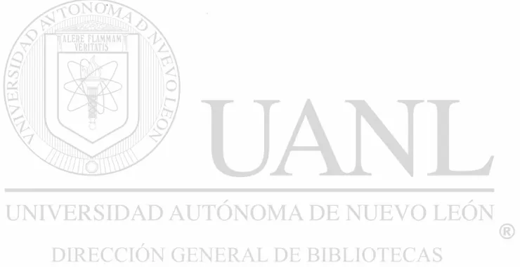 Figura Página 
