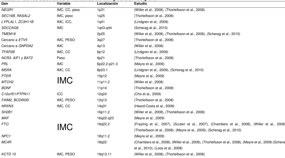 Tabla I.  Genes asociados a variables de composición corporal 