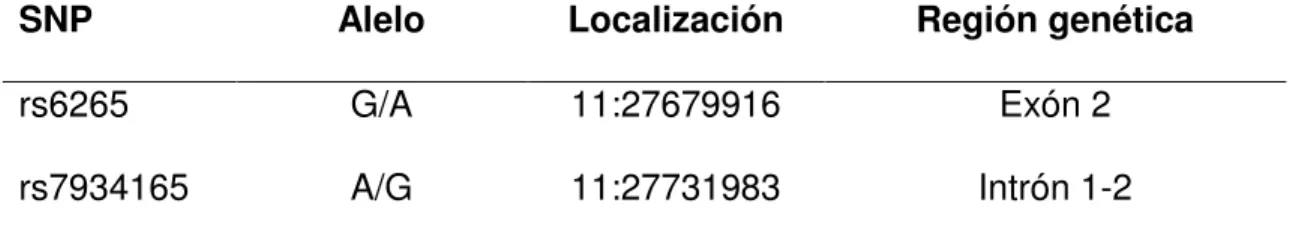 Tabla VI. Características generales de los polimorfismos analizados en 