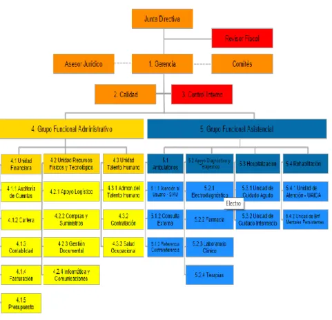Figura  2.  Estructura  orgánica  y  funcional  del  HEGI.  Fuente:  HEGI,  2014