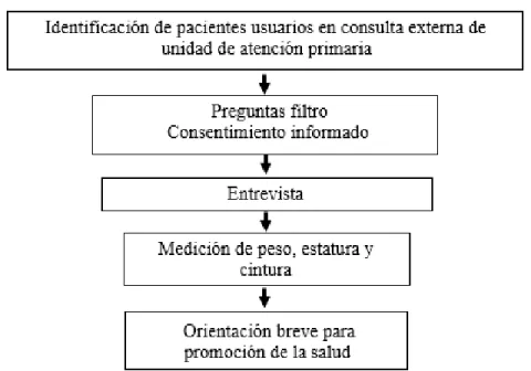 Figura 2. Flujograma de procedimientos  