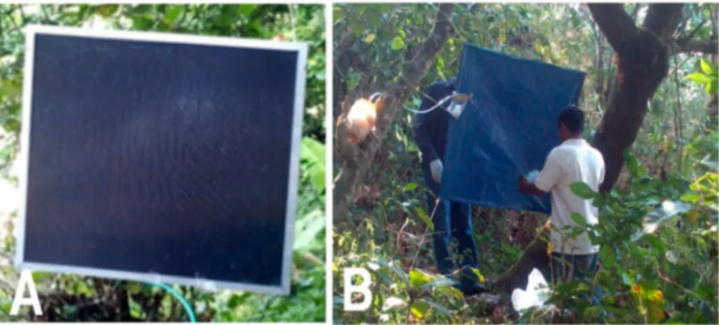 Figure 1. Original and modified Esperanza trap designs. Panel A: Original acrylic sandwich design