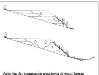 Figura 6. Perfiles de escombreras y recuperación. 