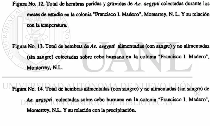 Figura No. 10. Total de hembras paridas y grávidas de Ae. aegypti colectadas durante los  meses de estudio en la colonia &#34;Francisco L Madero&#34;, Monterrey, N