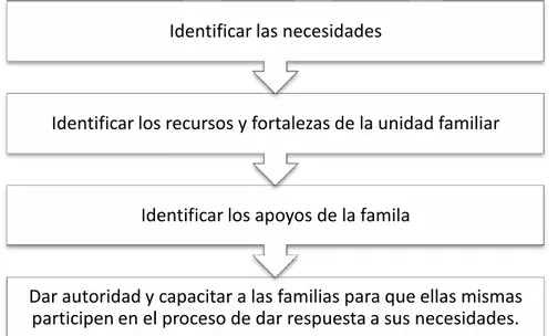 Figura nº 7: Aspectos a identificar por los profesionales en la intervención con la familia