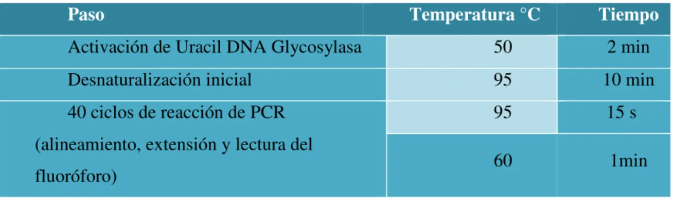 Tabla 4. Protocolo de reacción para qPCR (WT1) 
