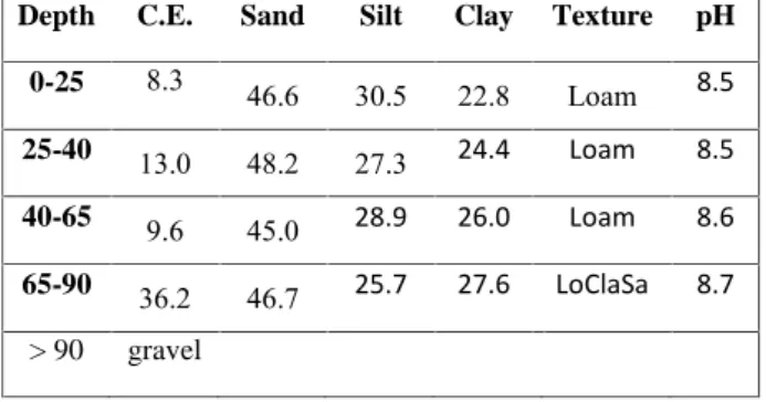 Table 1. General physical-chemical characteristics of horizons (cm) of soil profile in the experimental vineyard