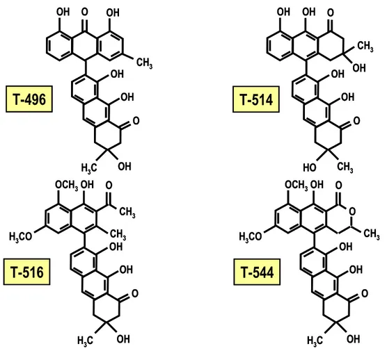 Figura 5. Toxinas extraídas por Dreyer y cols., (1975) a partir de la semilla de fruto de Kh