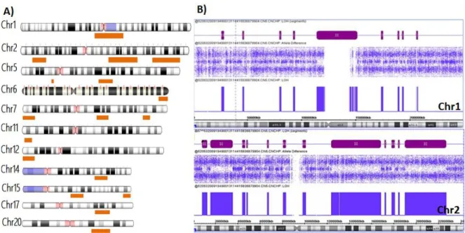 Figura  5.  A)  LOH  de  copia  neutral  de  11  cromosomas  afectados  en  el  paciente  3  (bloques  naranjas)