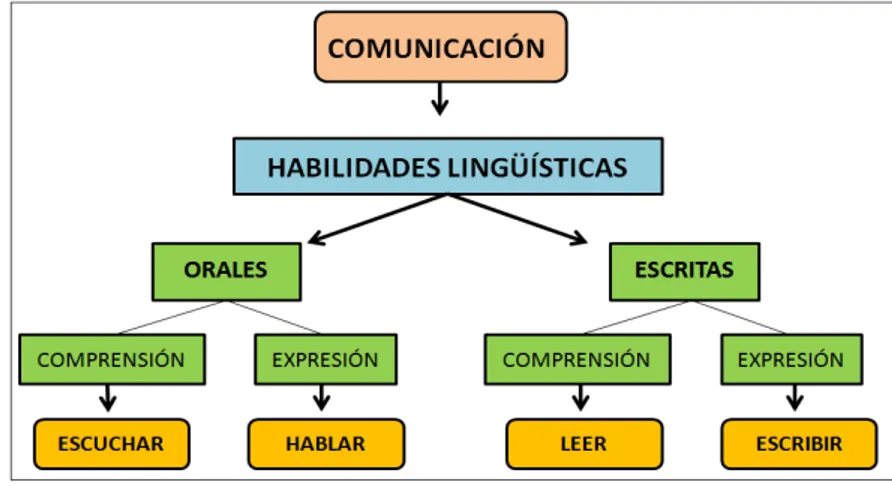 Figura 1: Habilidades lingüísticas, Prado (2011) 