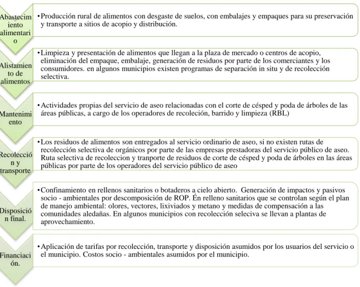 Figura 5. Cadena de gestión actual. 